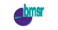bau msr GmbH